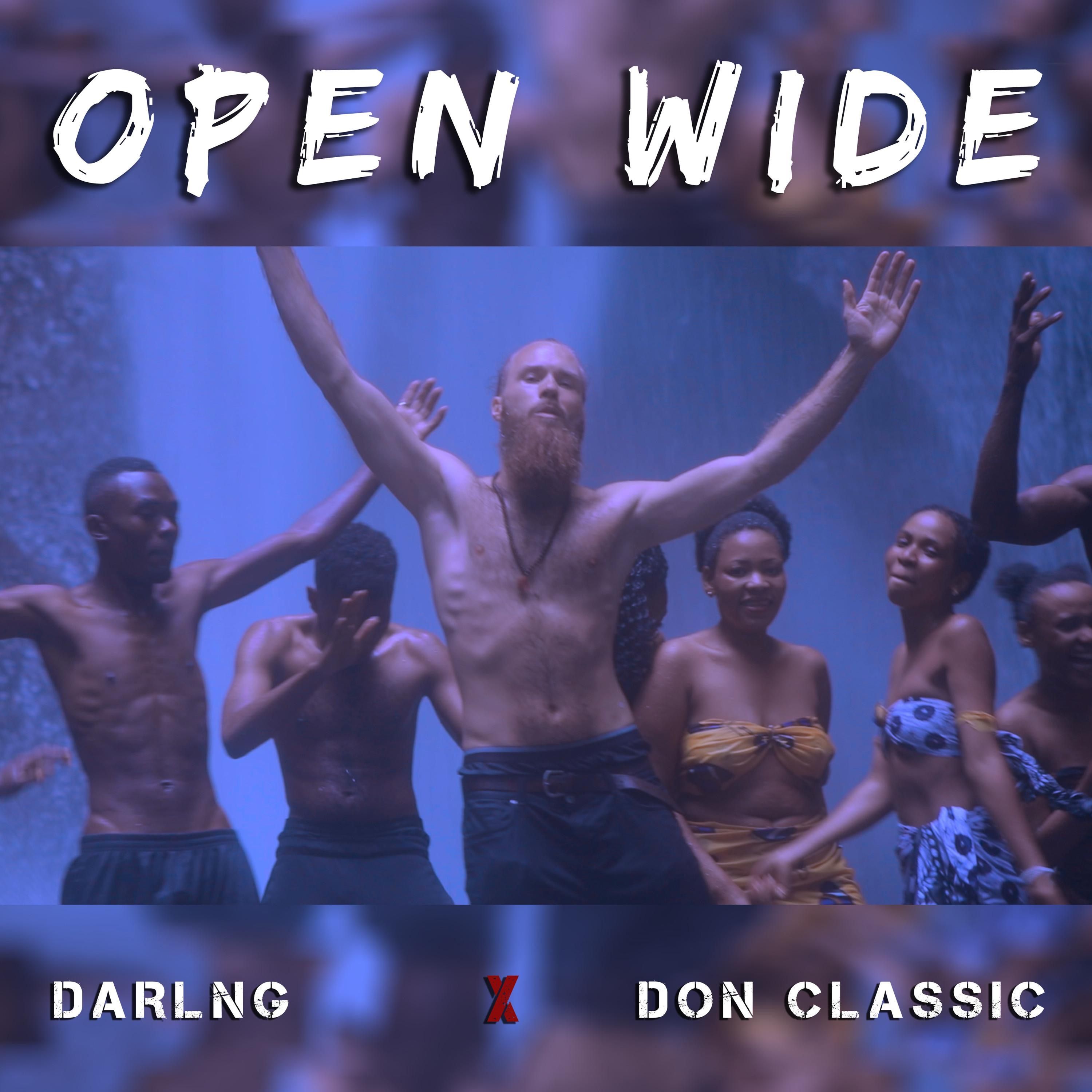 Open Wide cover art